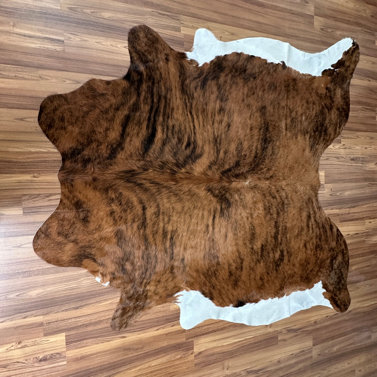 Brown and White cowhide rug, full overhead view — Large irregular dark brown patches over lighter tan and cream base with nat