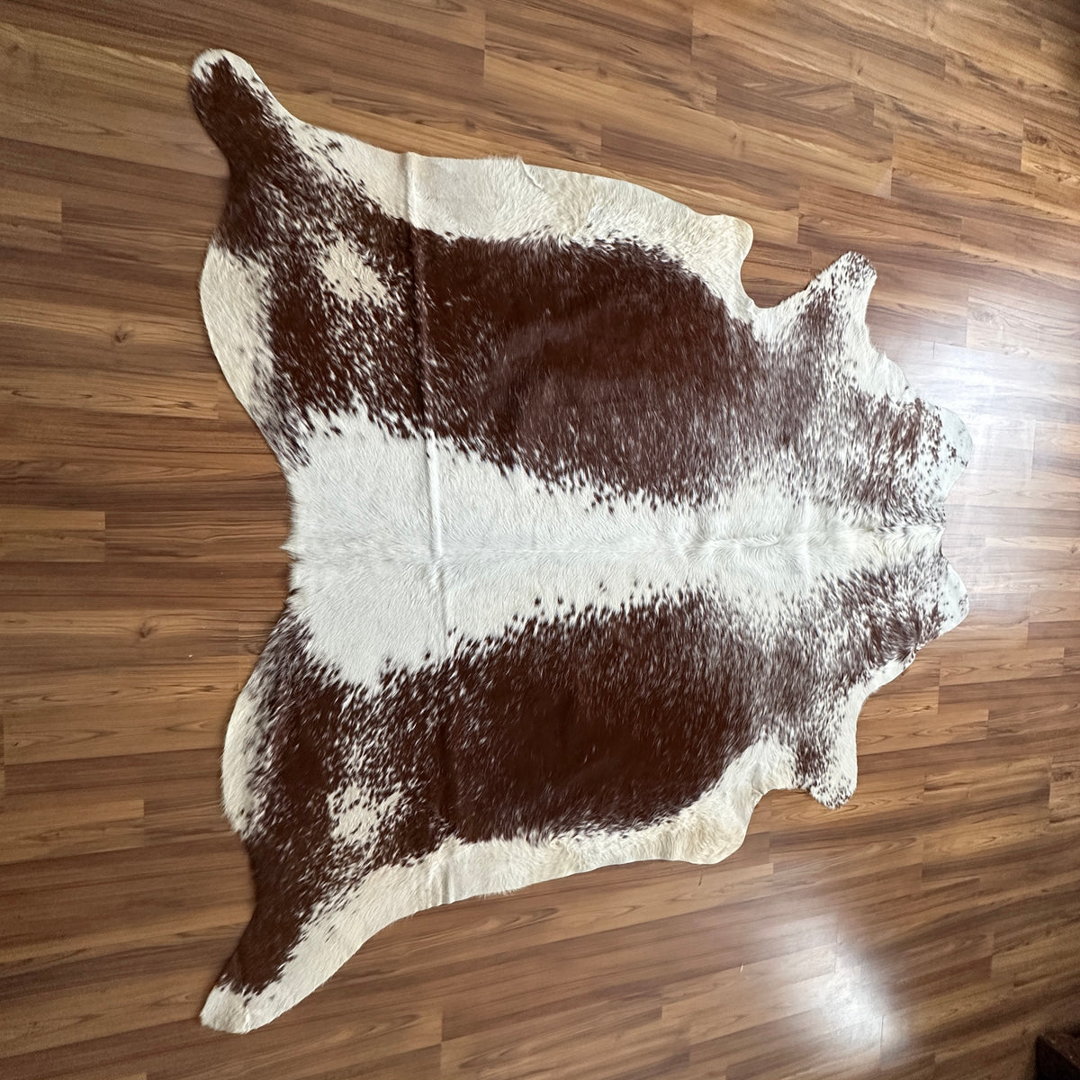 Brown and White cowhide rug, full overhead view — Large irregular chocolate brown patches over cream and white base with natu
