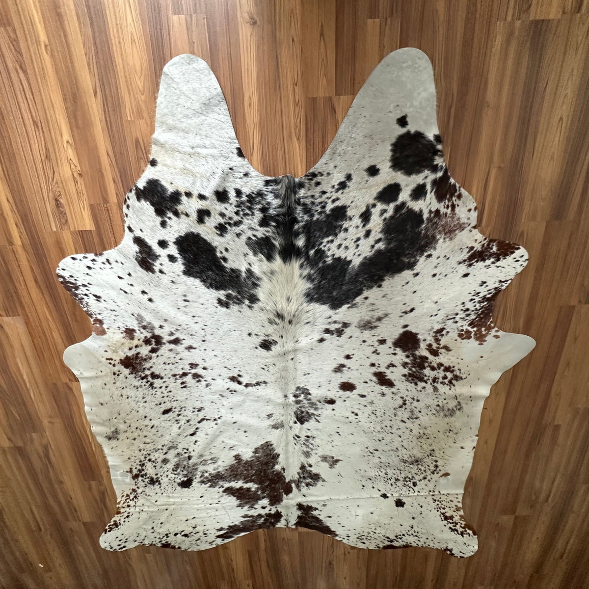 Brown and White cowhide rug, full overhead view — Large irregular dark brown and black patches scattered over cream-white bas