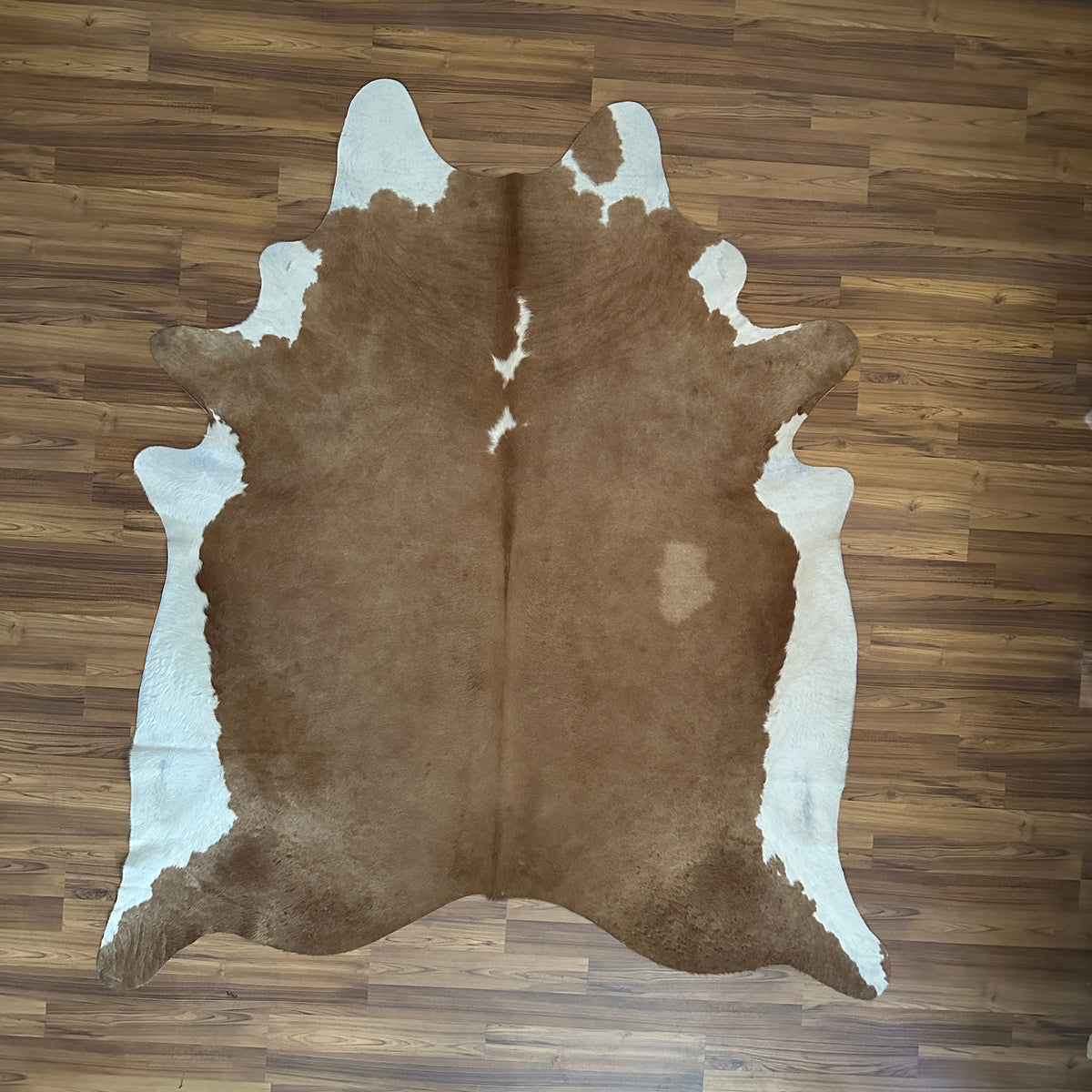Brown and White cowhide rug, full overhead view — Large irregular taupe-brown patches over white base with natural hide marki