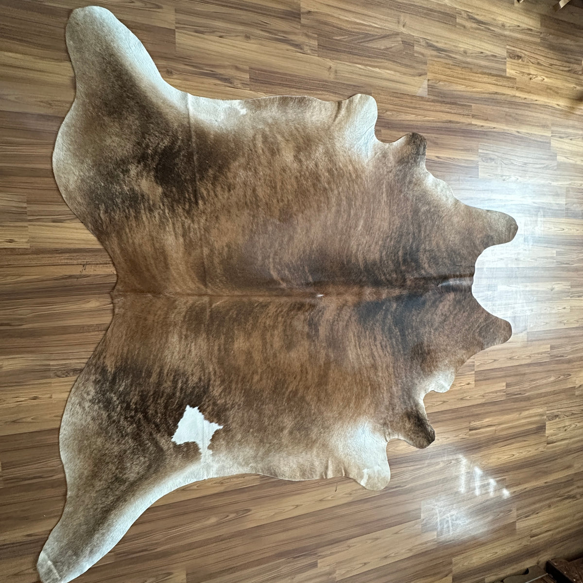 Brown and White cowhide rug, full overhead view — Large irregular brown patches with cream and white accent areas over a ligh