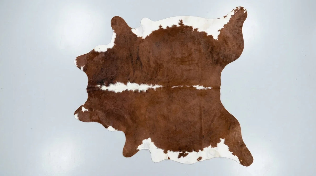 Brown and White cowhide rug flat lay on white background showing full hide shape