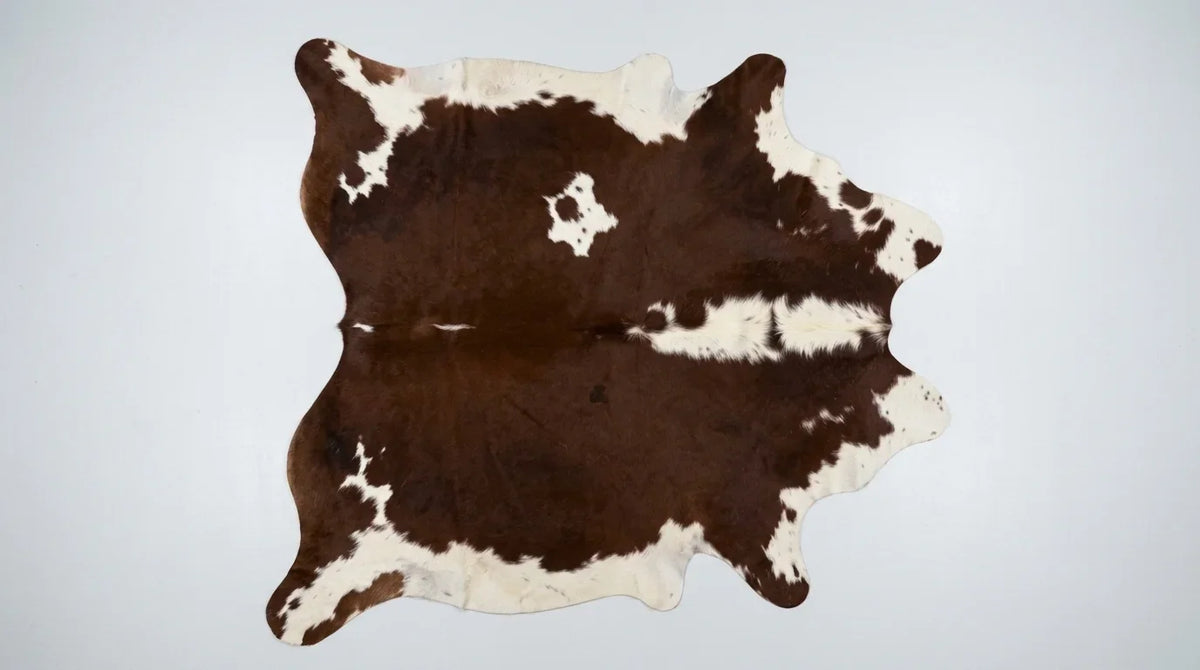 Brown and White cowhide rug flat lay on white background showing full hide shape
