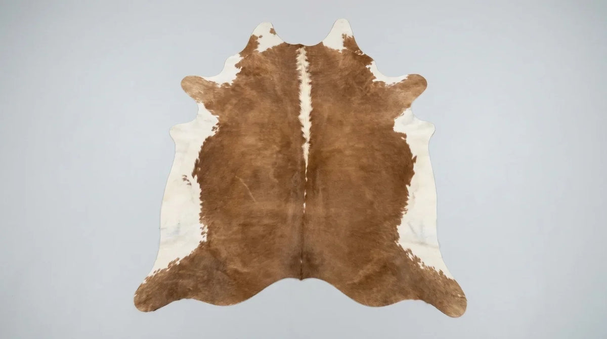 Brown and White cowhide rug flat lay on white background showing full hide shape