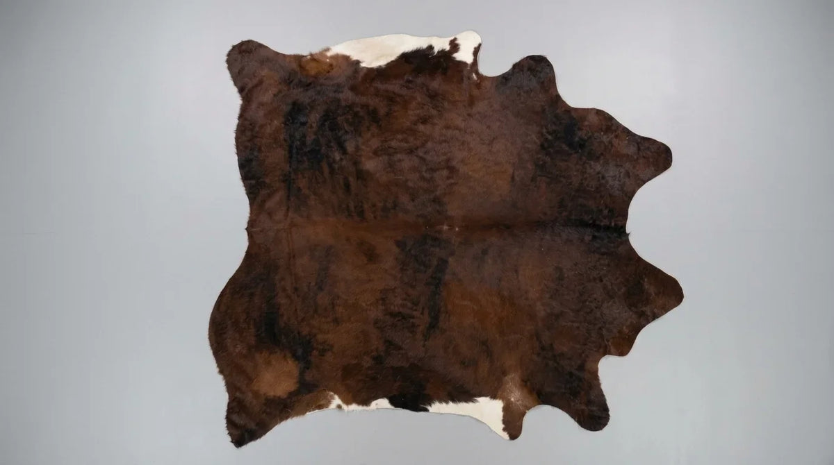 Brown and White cowhide rug flat lay on white background showing full hide shape