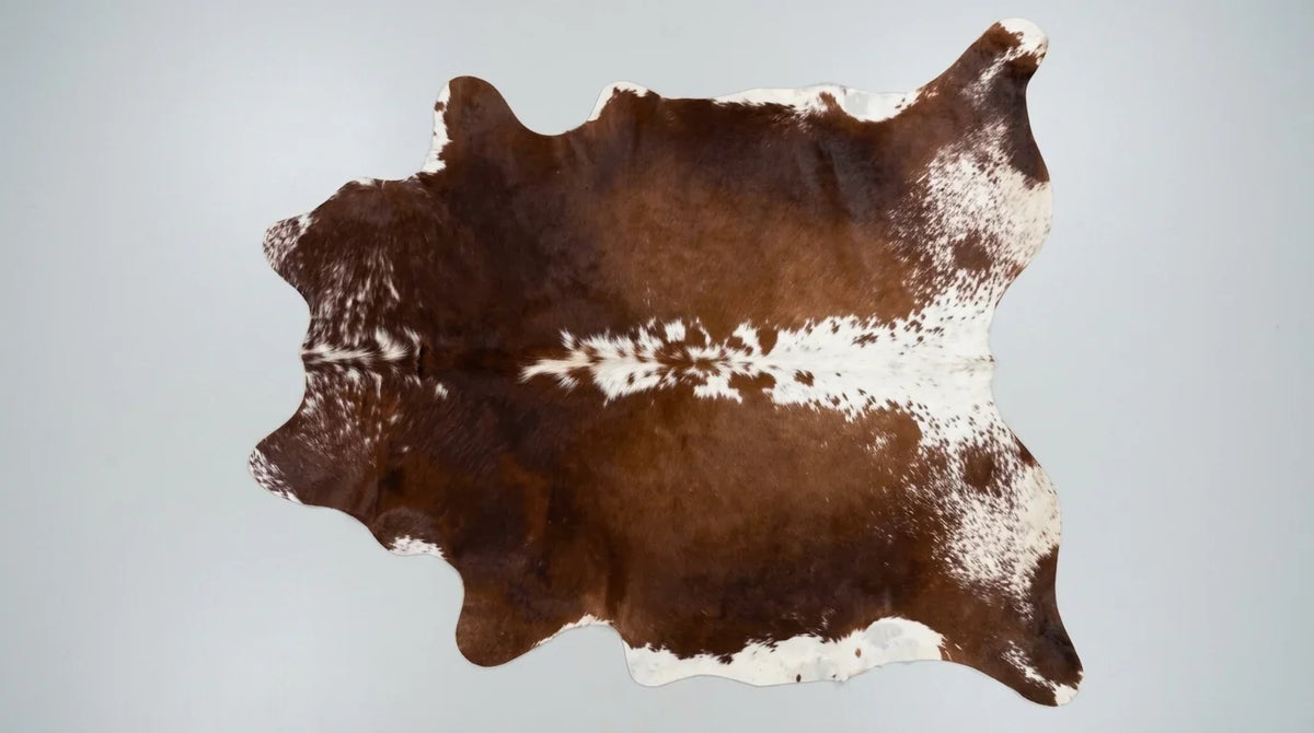 Brown and White cowhide rug flat lay on white background showing full hide shape