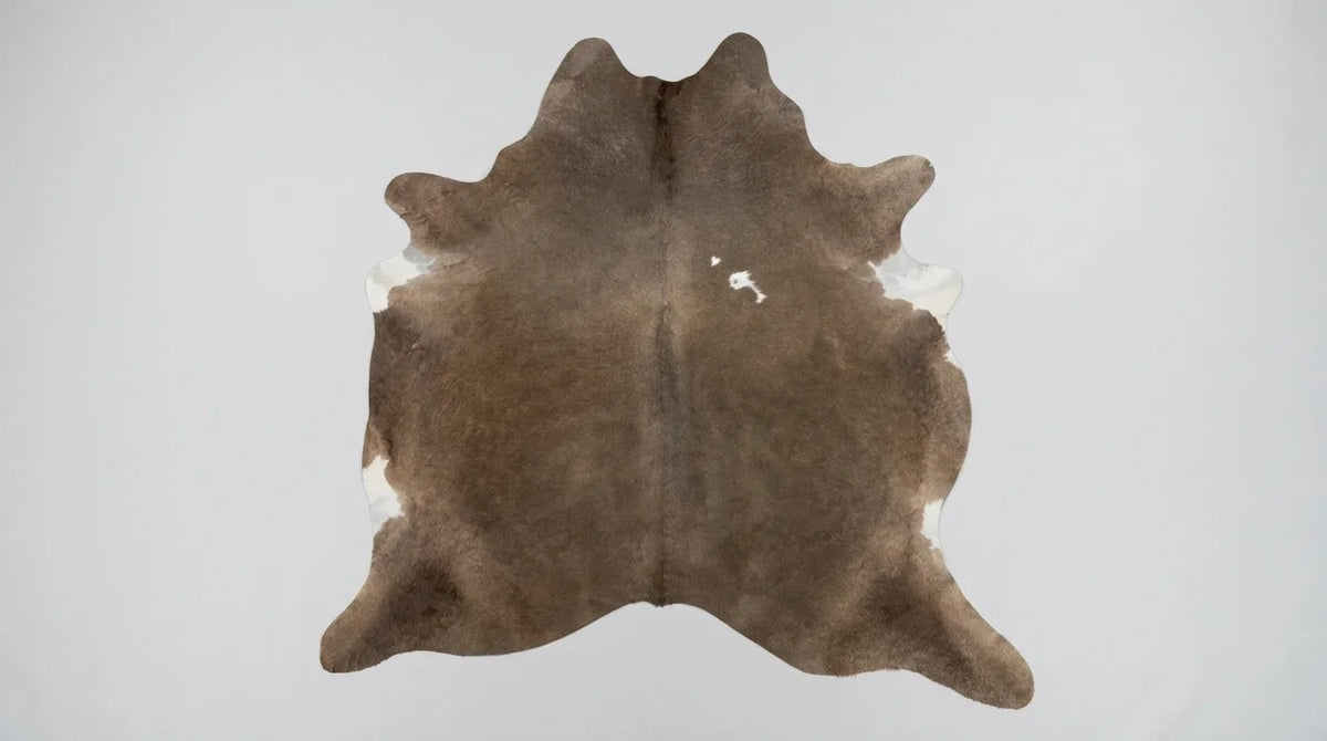 Brown and White cowhide rug flat lay on white background showing full hide shape