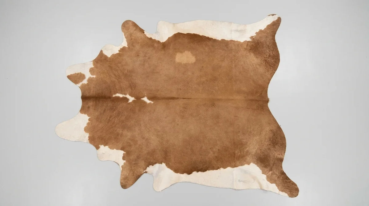 Brown and White cowhide rug flat lay on white background showing full hide shape