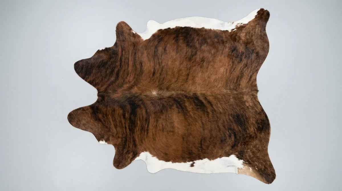 Brown and White cowhide rug flat lay on white background showing full hide shape