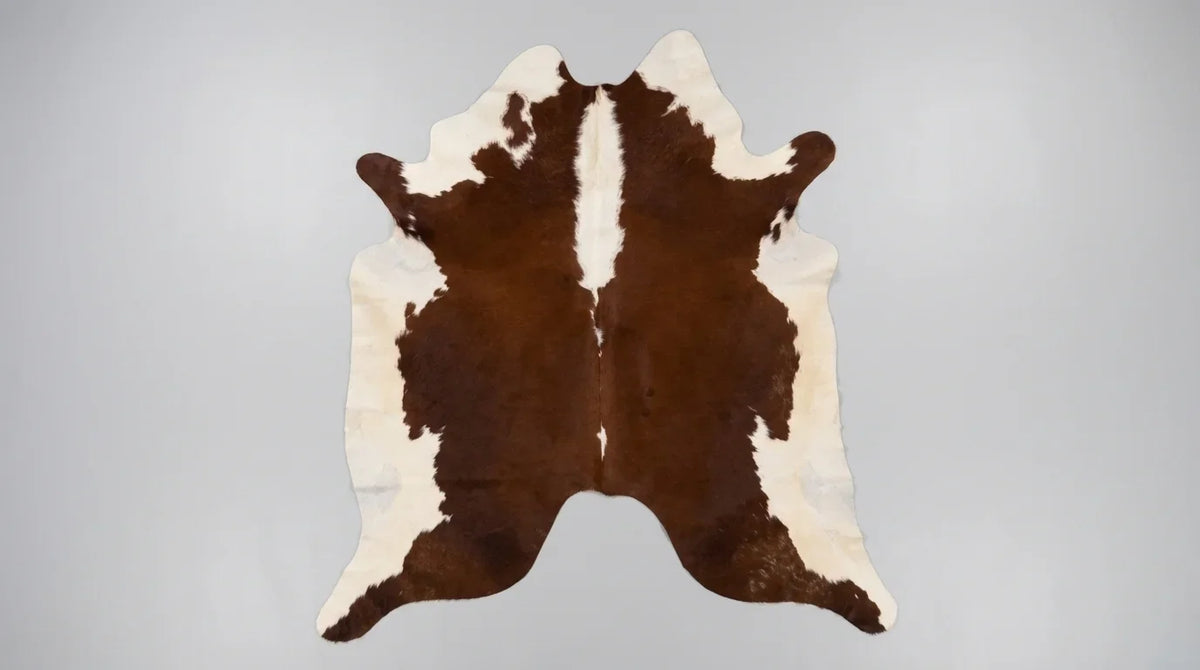 Brown and White cowhide rug flat lay on white background showing full hide shape