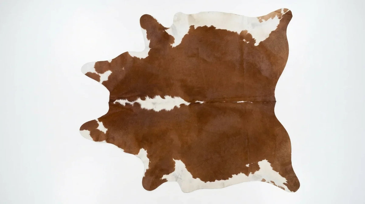 Brown and White cowhide rug flat lay on white background showing full hide shape
