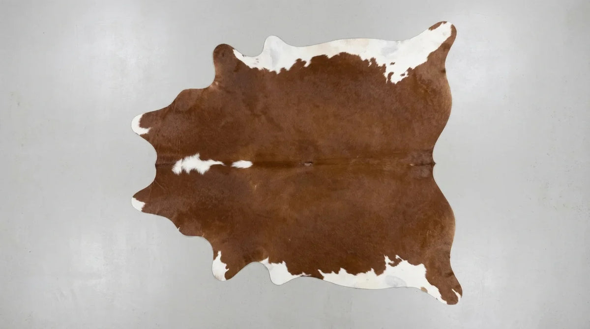 Brown and White cowhide rug flat lay on white background showing full hide shape