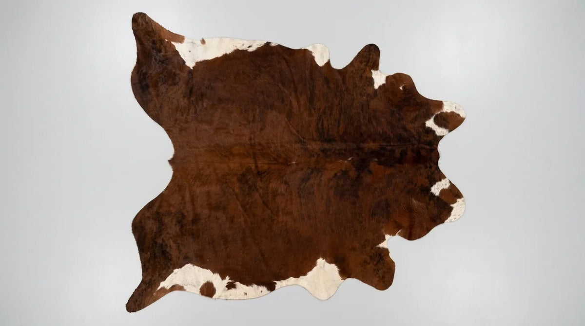 Brown and White cowhide rug flat lay on white background showing full hide shape