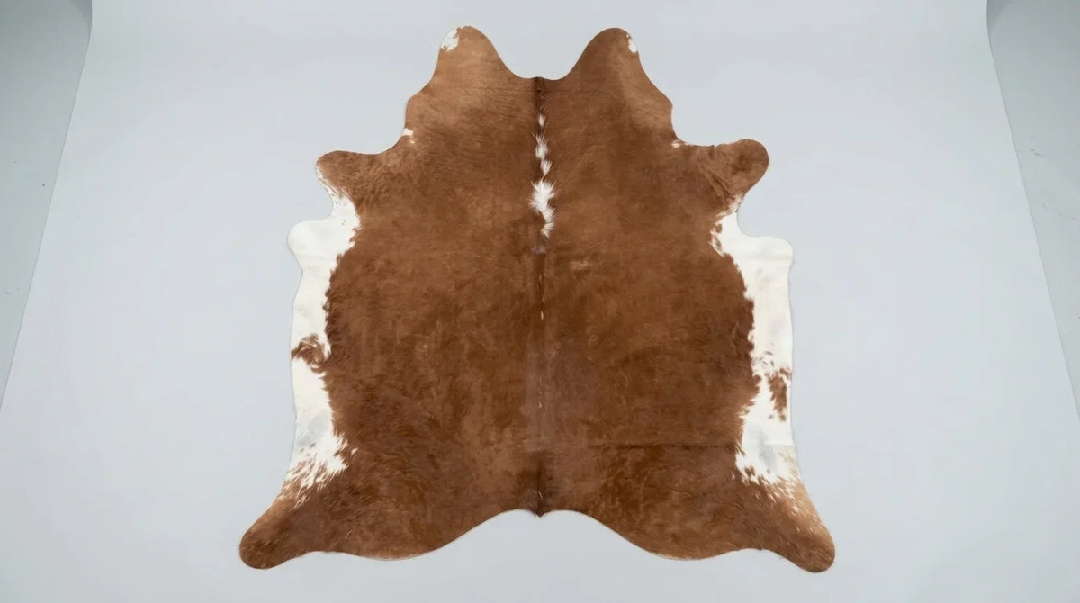 Brown and White cowhide rug flat lay on white background showing full hide shape