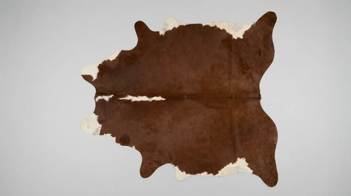 Brown and White cowhide rug flat lay on white background showing full hide shape