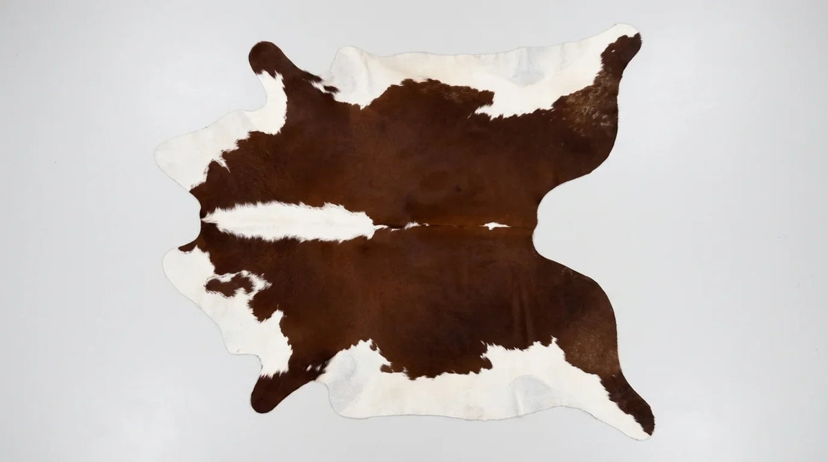 Brown and White cowhide rug flat lay on white background showing full hide shape