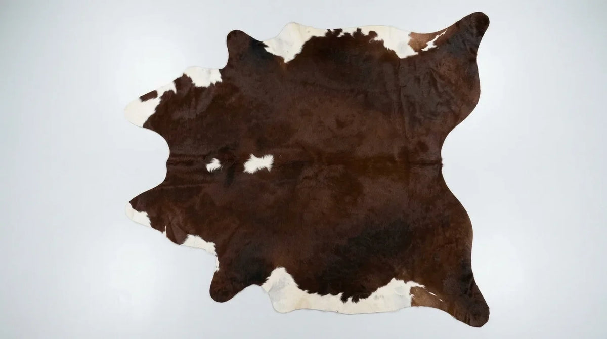 Brown and White cowhide rug flat lay on white background showing full hide shape