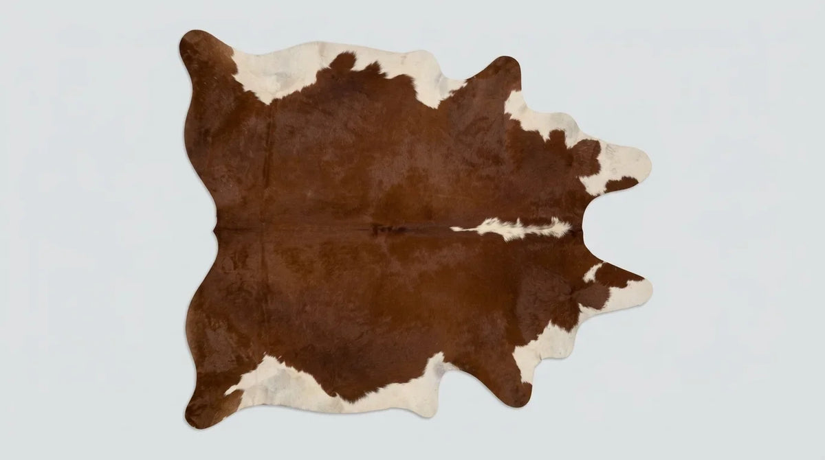 Brown and White cowhide rug flat lay on white background showing full hide shape