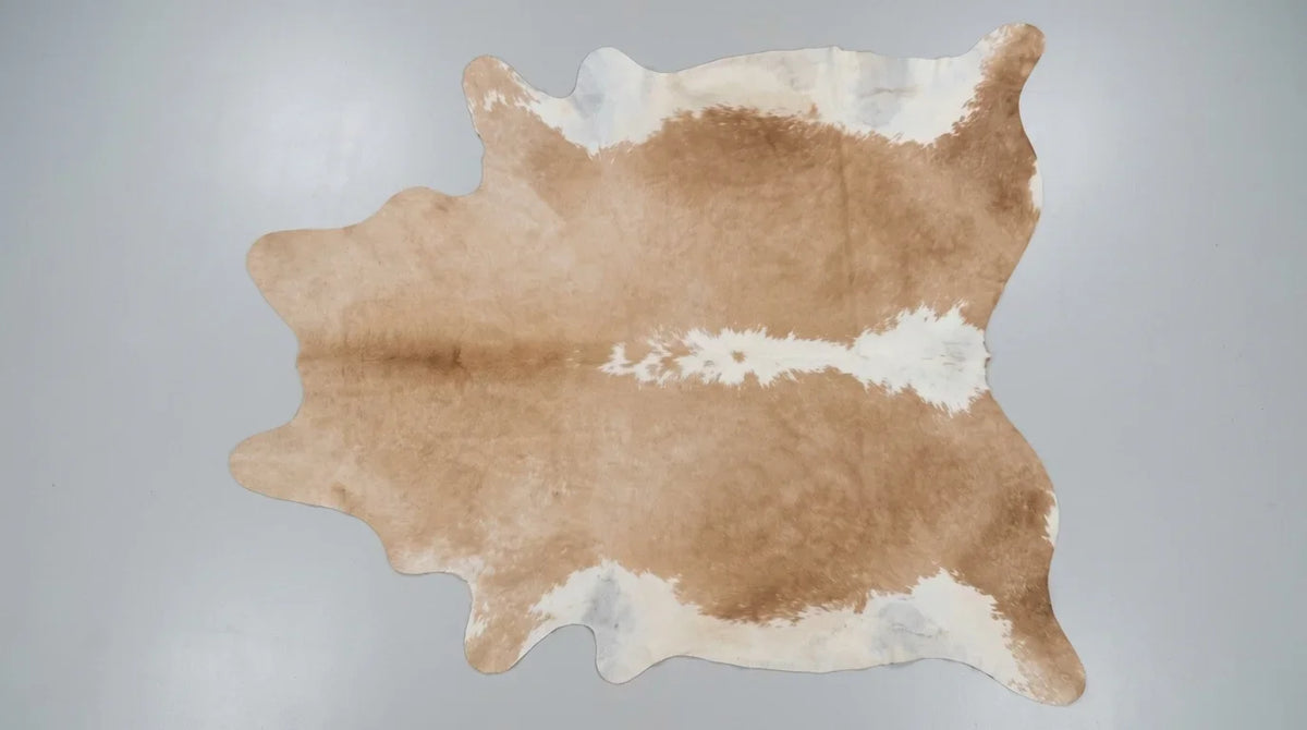 Brown and White cowhide rug flat lay on white background showing full hide shape