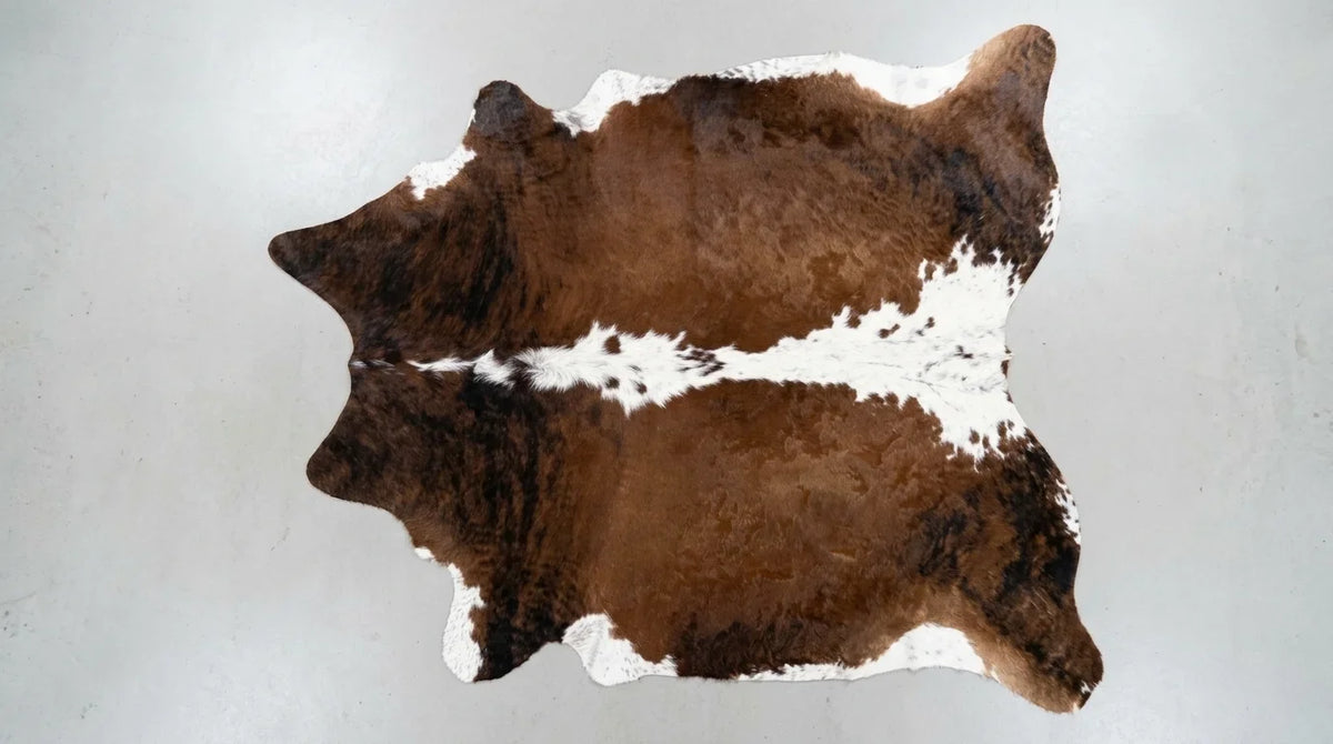 Brown and White cowhide rug flat lay on white background showing full hide shape