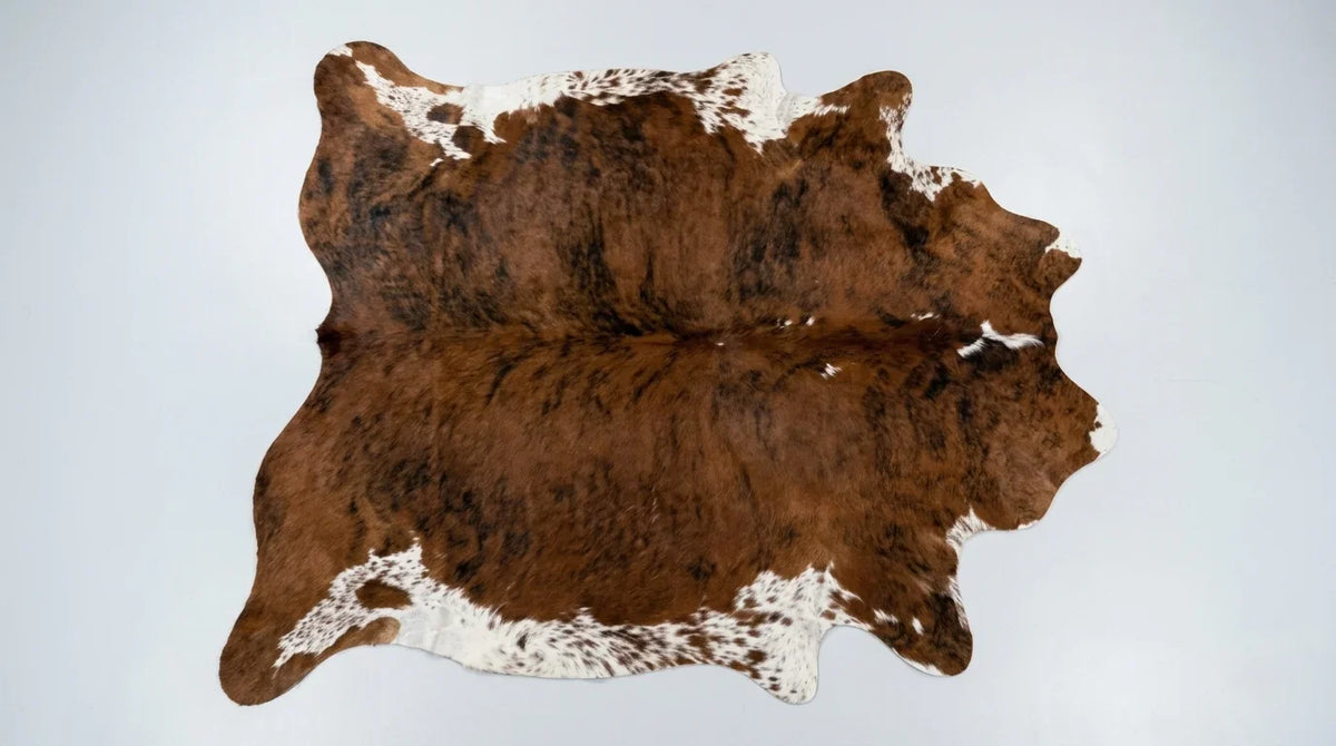 Brown and White cowhide rug flat lay on white background showing full hide shape