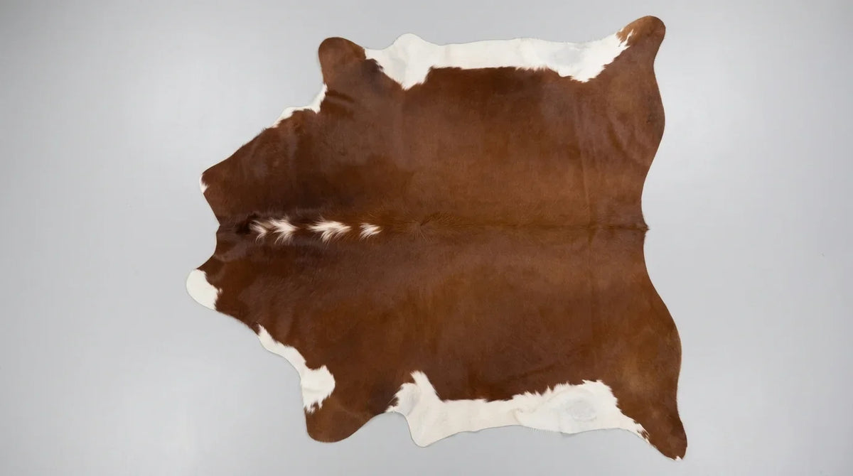 Brown and White cowhide rug flat lay on white background showing full hide shape