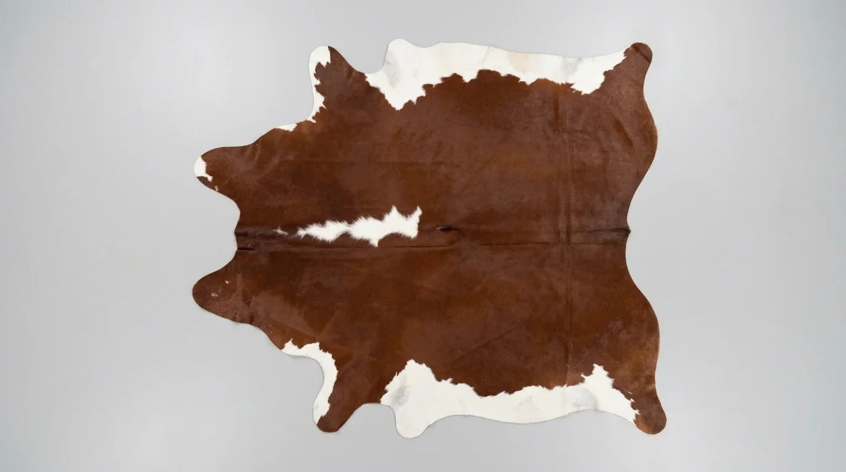 Brown and White cowhide rug flat lay on white background showing full hide shape