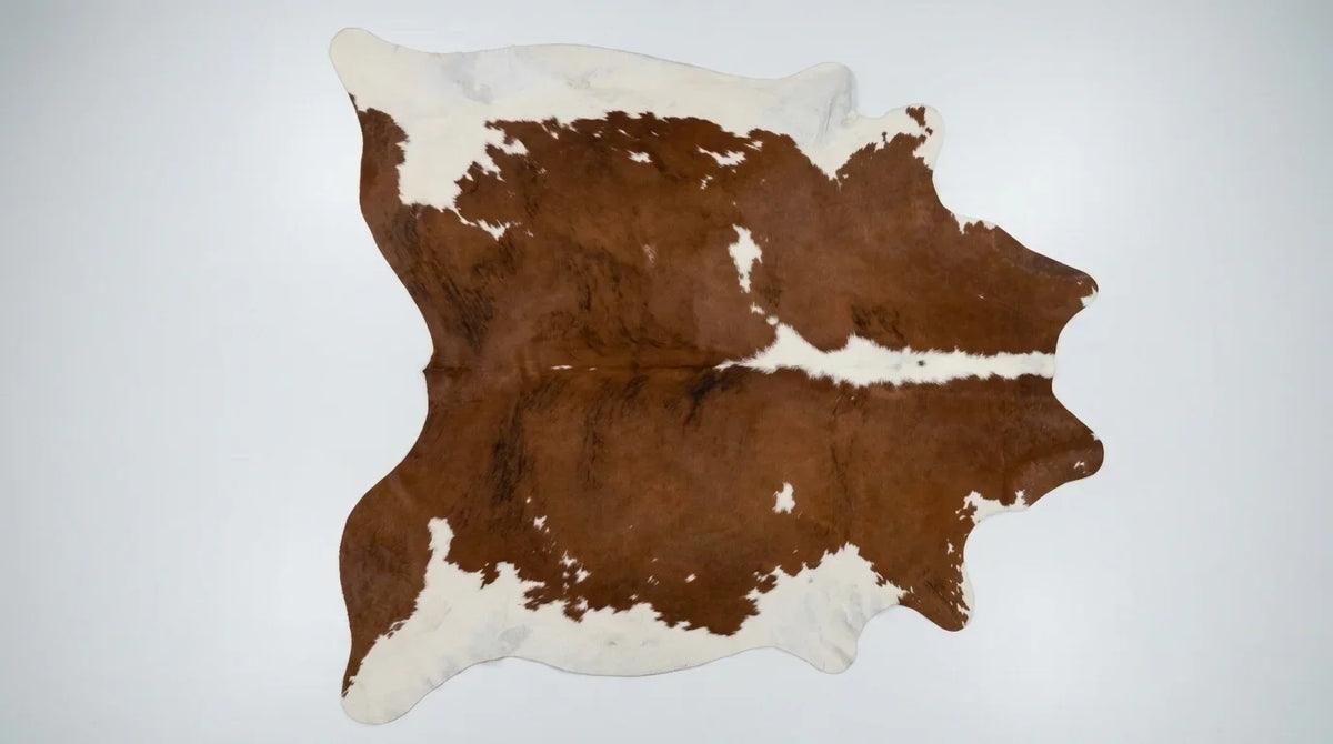 Brown and White cowhide rug flat lay on white background showing full hide shape