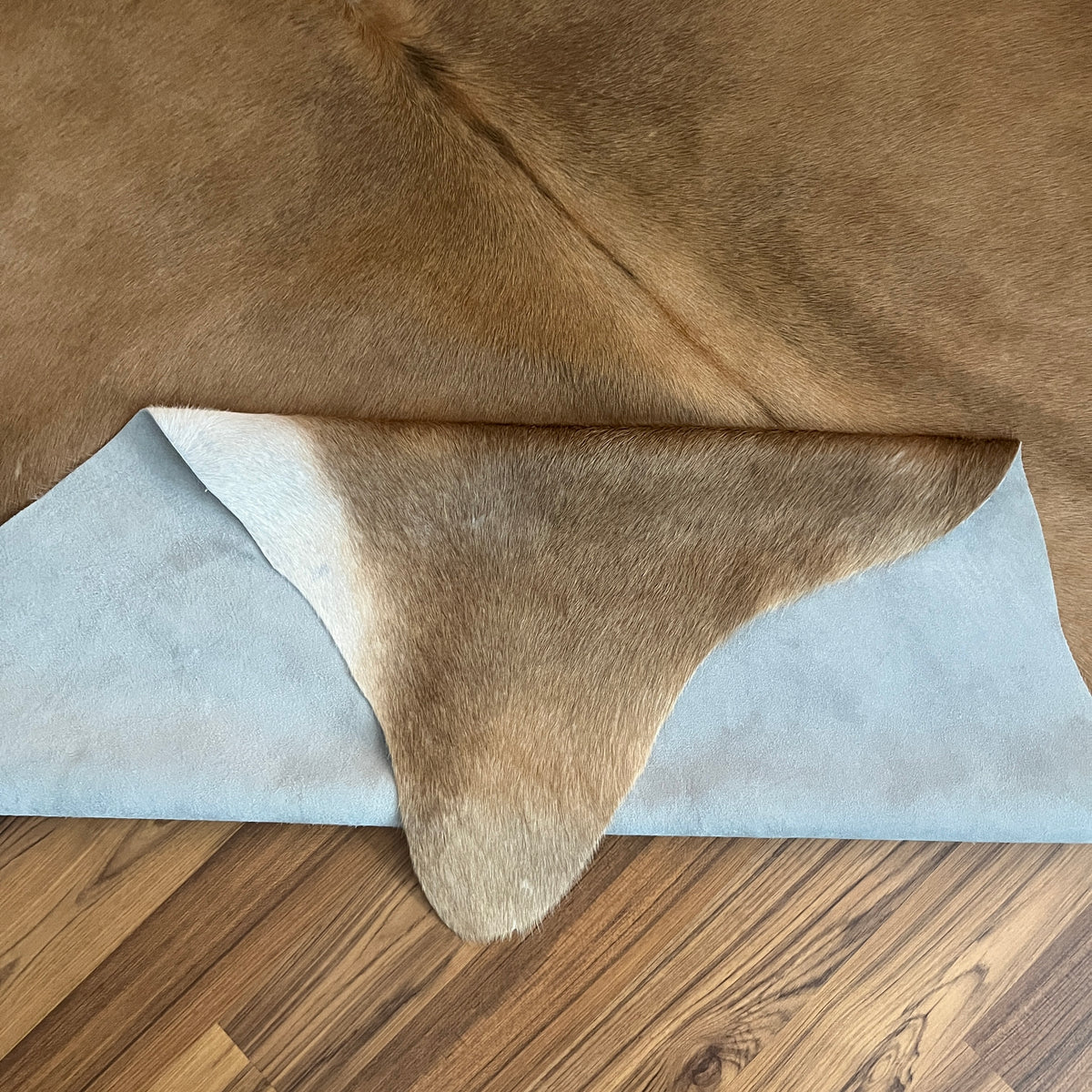 Close-up texture of Brown and White cowhide rug — Large irregular chocolate brown patches over cream and white base with natu