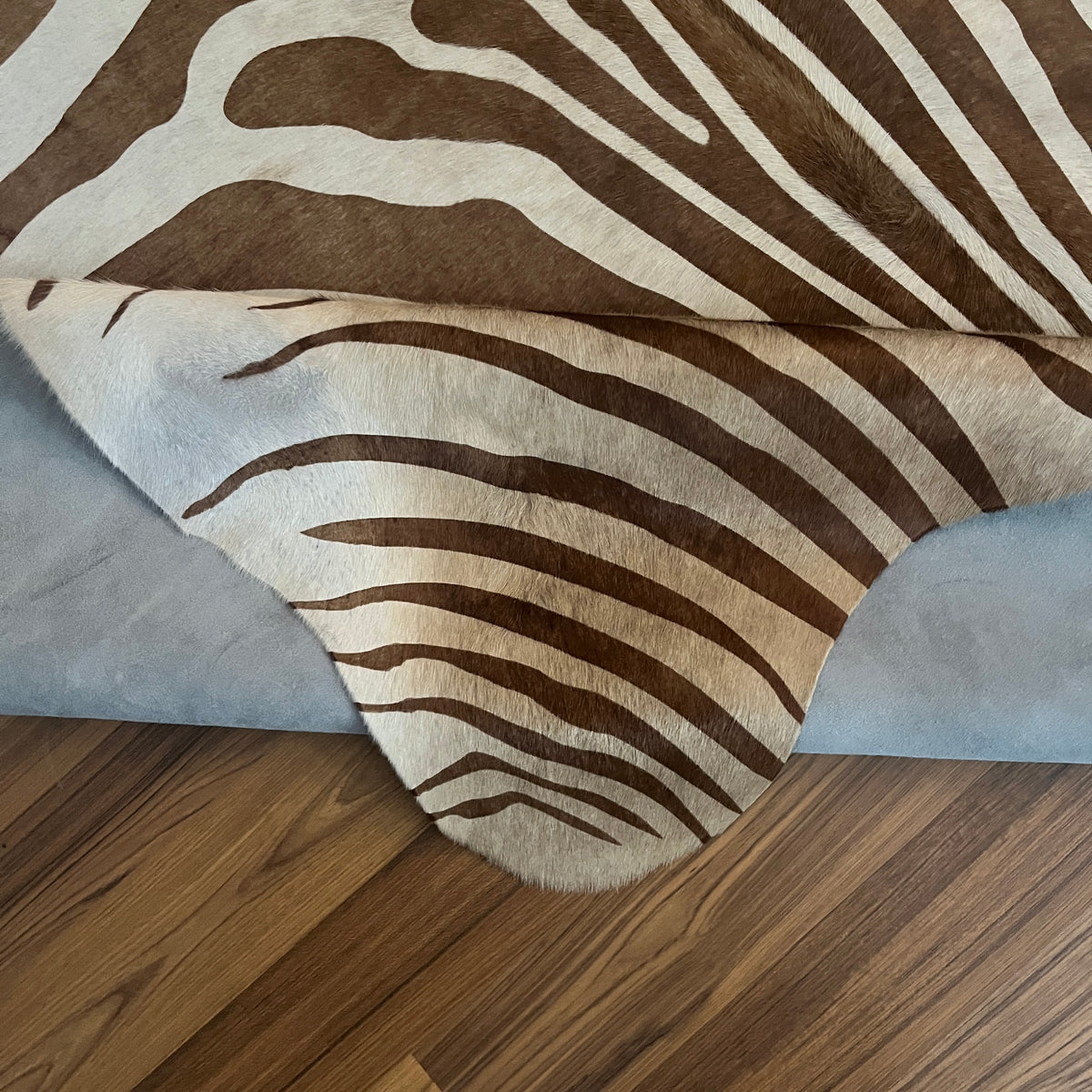 Close-up texture of Brown and White zebra print cowhide rug — Bold radiating zebra stripes in dark brown over cream base