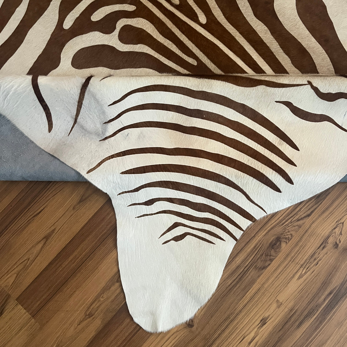 Close-up texture of Brown and White zebra print cowhide rug — Bold dark brown stripes radiating from center in zebra-like pat