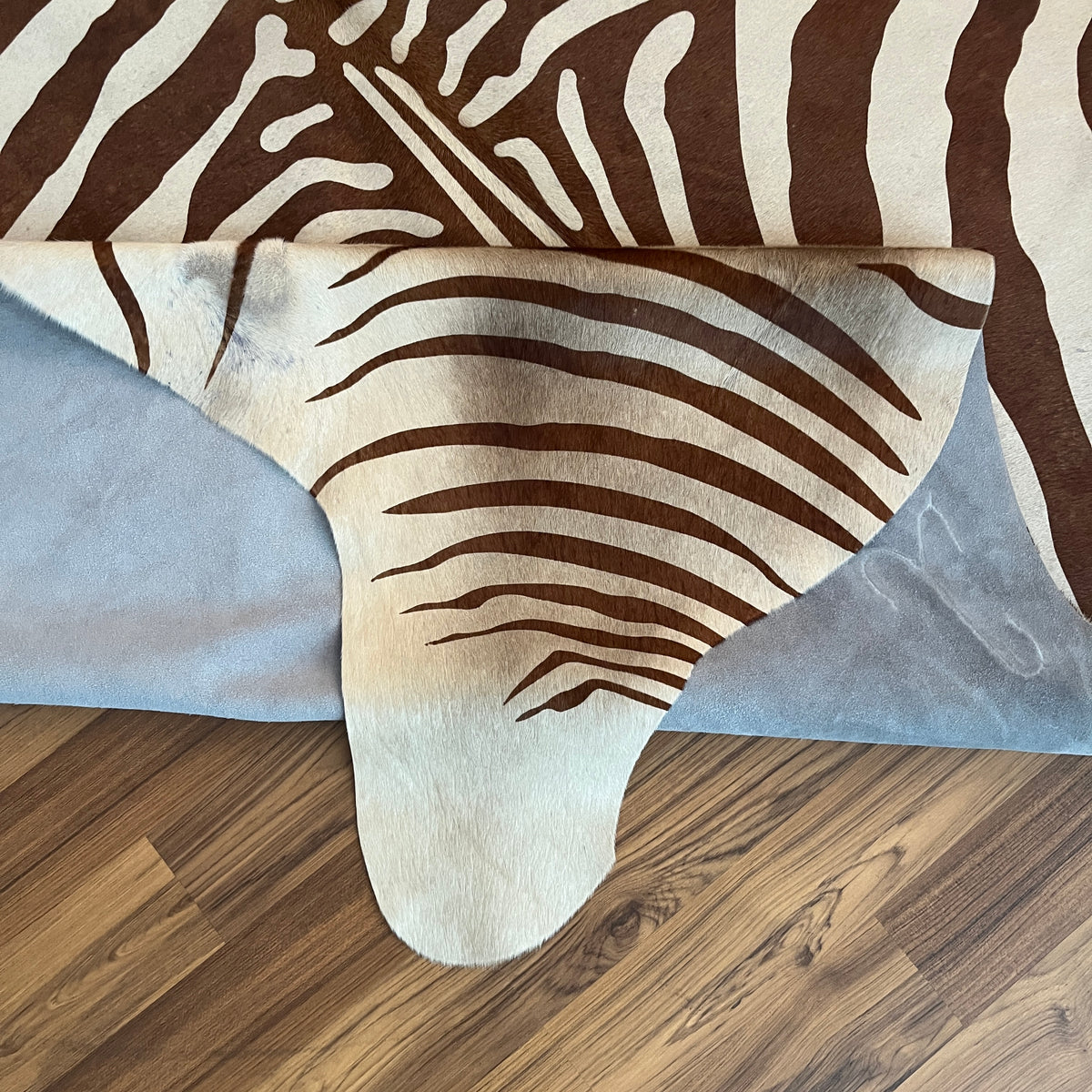 Close-up texture of Brown and White zebra print cowhide rug — Bold radiating zebra stripes in dark brown over cream base