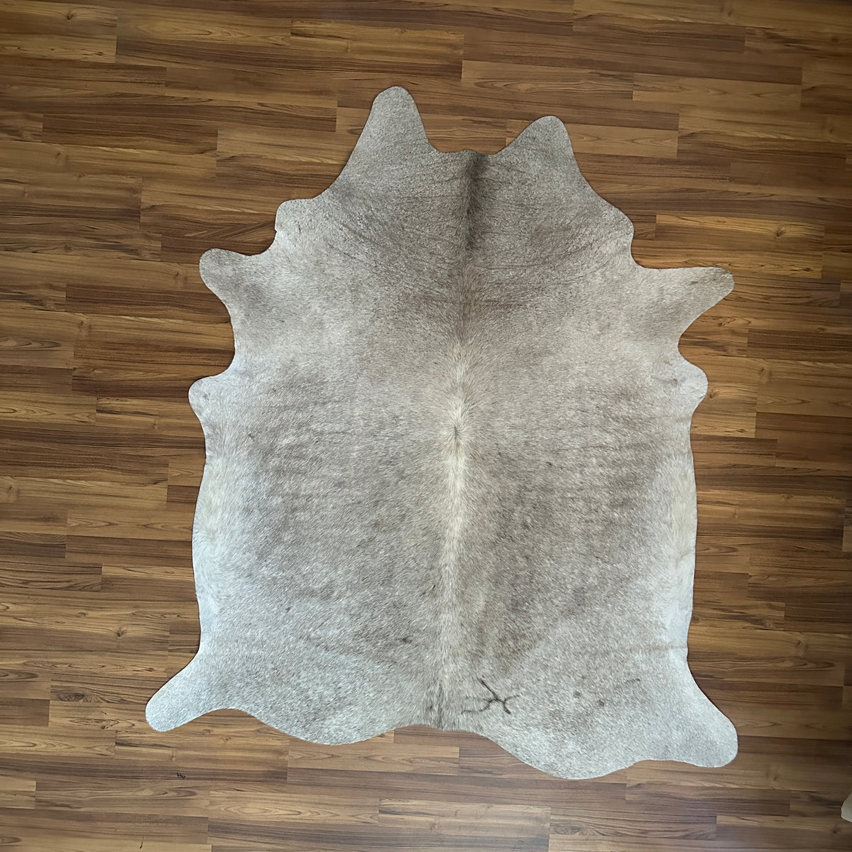 Grey cowhide rug, full overhead view — Fine salt and pepper texture with natural irregular patches and natural center stripe