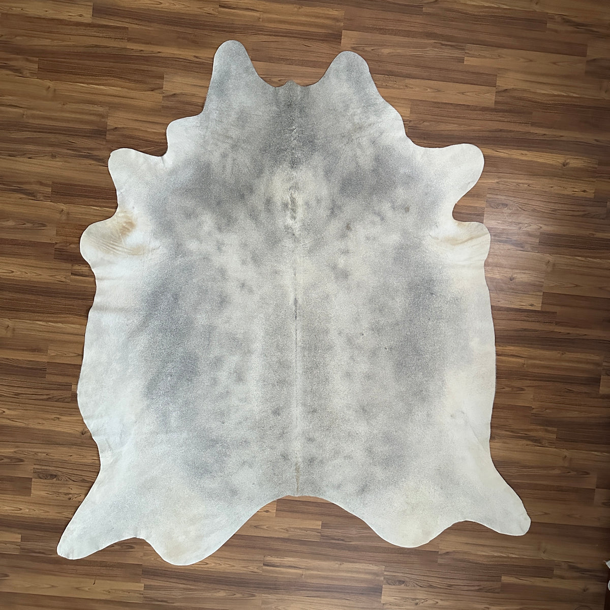 Grey cowhide rug, full overhead view — Fine salt and pepper speckle with light grey base and darker charcoal markings