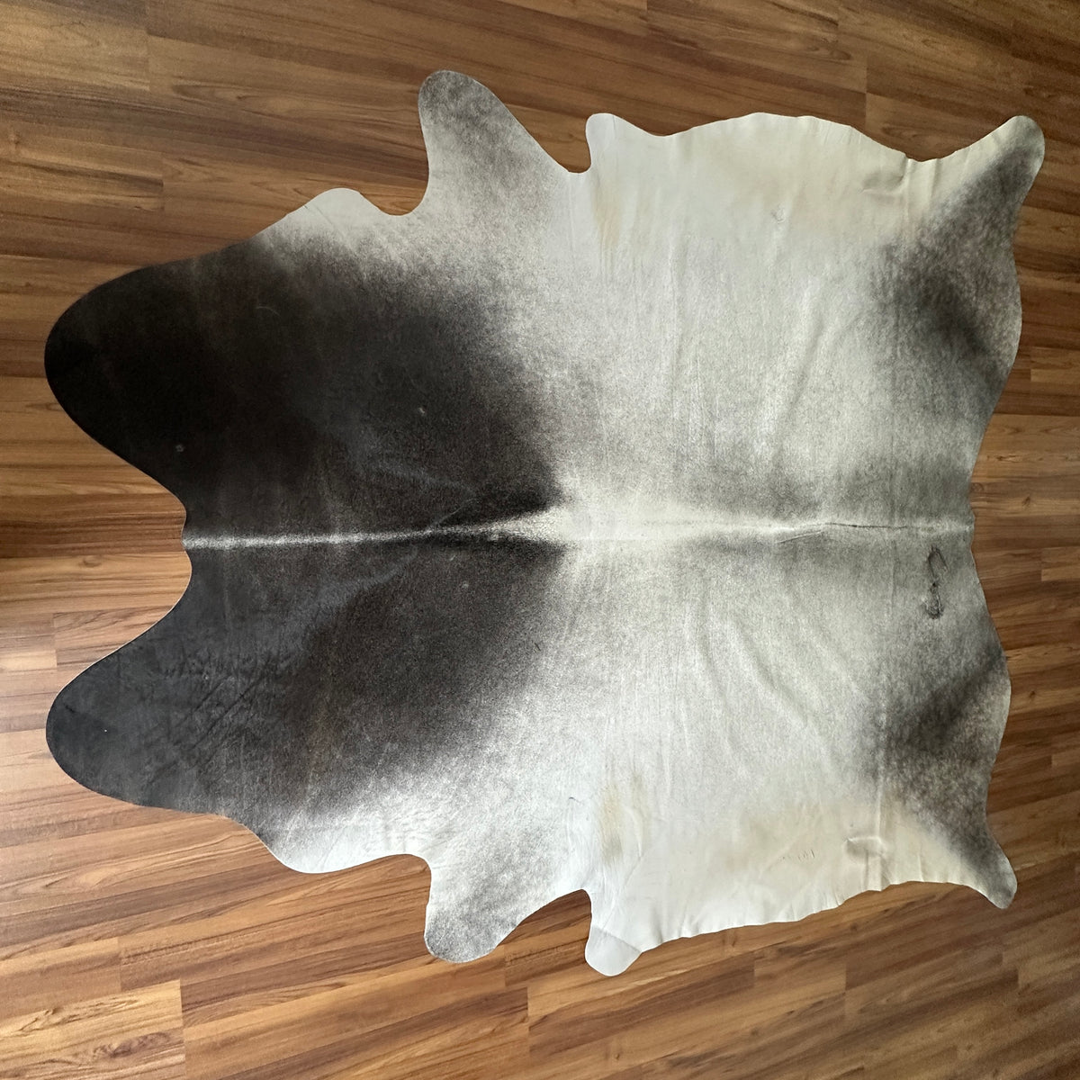 Grey cowhide rug, full overhead view — Large irregular patches transitioning from charcoal to light grey over cream base