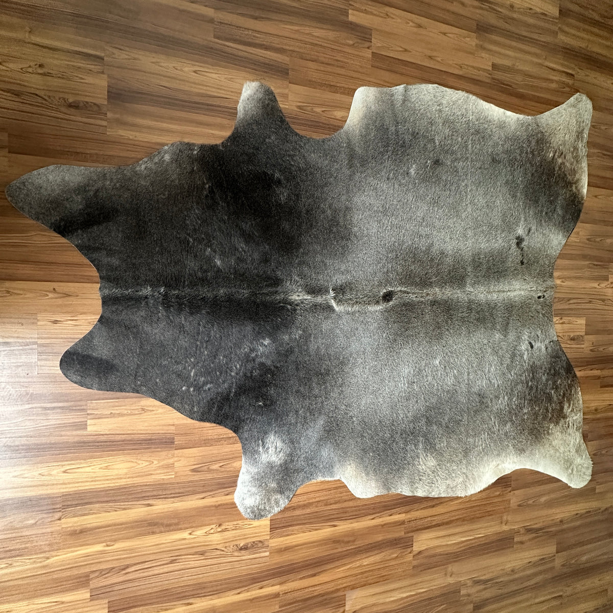 Grey cowhide rug, full overhead view — Large irregular patches of charcoal and light grey over cream base