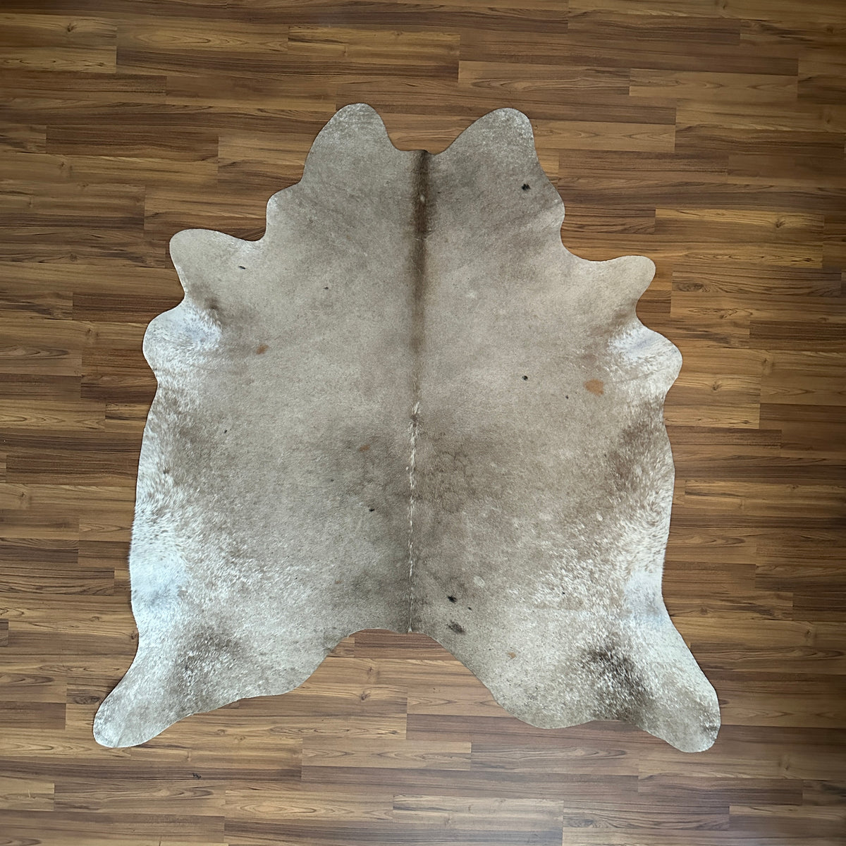 Grey cowhide rug, full overhead view — Fine salt and pepper texture with subtle darker mottling throughout