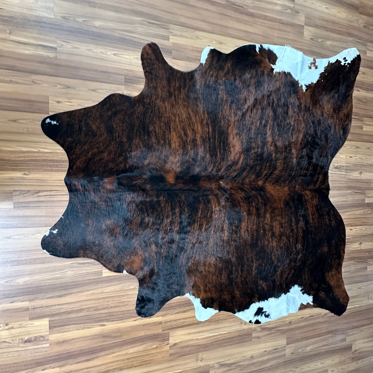 Tricolor tricolor cowhide rug, full overhead view — Dark brown and black patches with white markings over natural hide base
