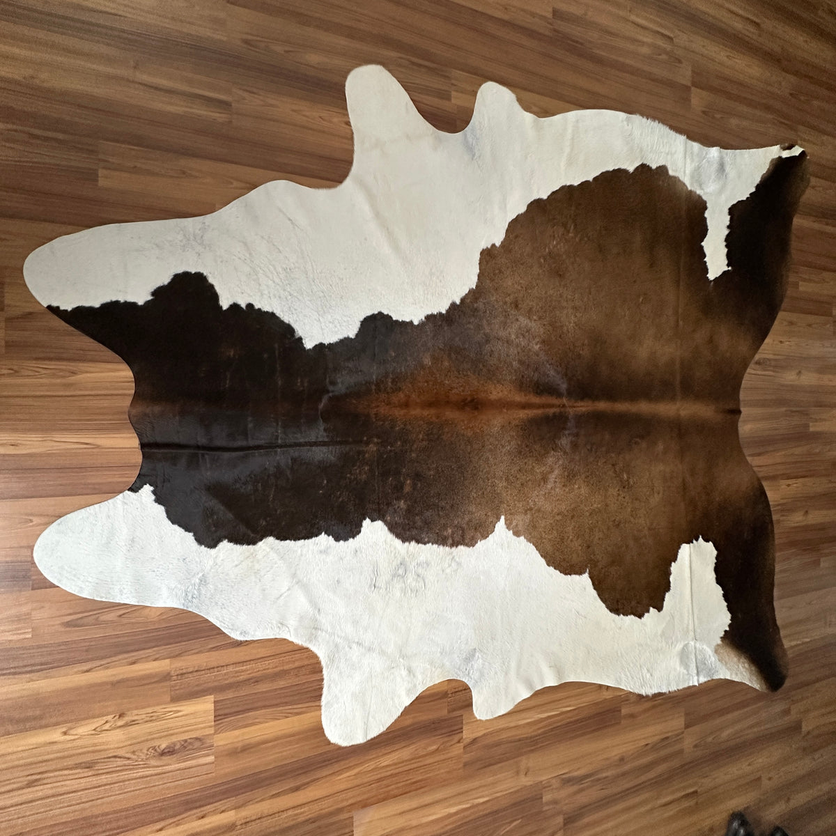 Tricolor tricolor cowhide rug, full overhead view — Large irregular brown and black patches with cream and white base