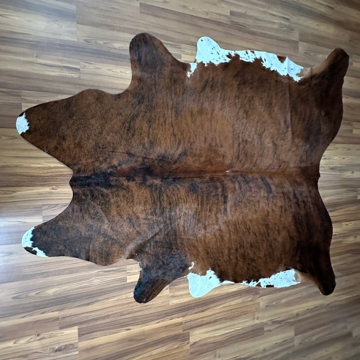 Tricolor tricolor cowhide rug, full overhead view — Dark brown base with white markings on head, back, and lower legs