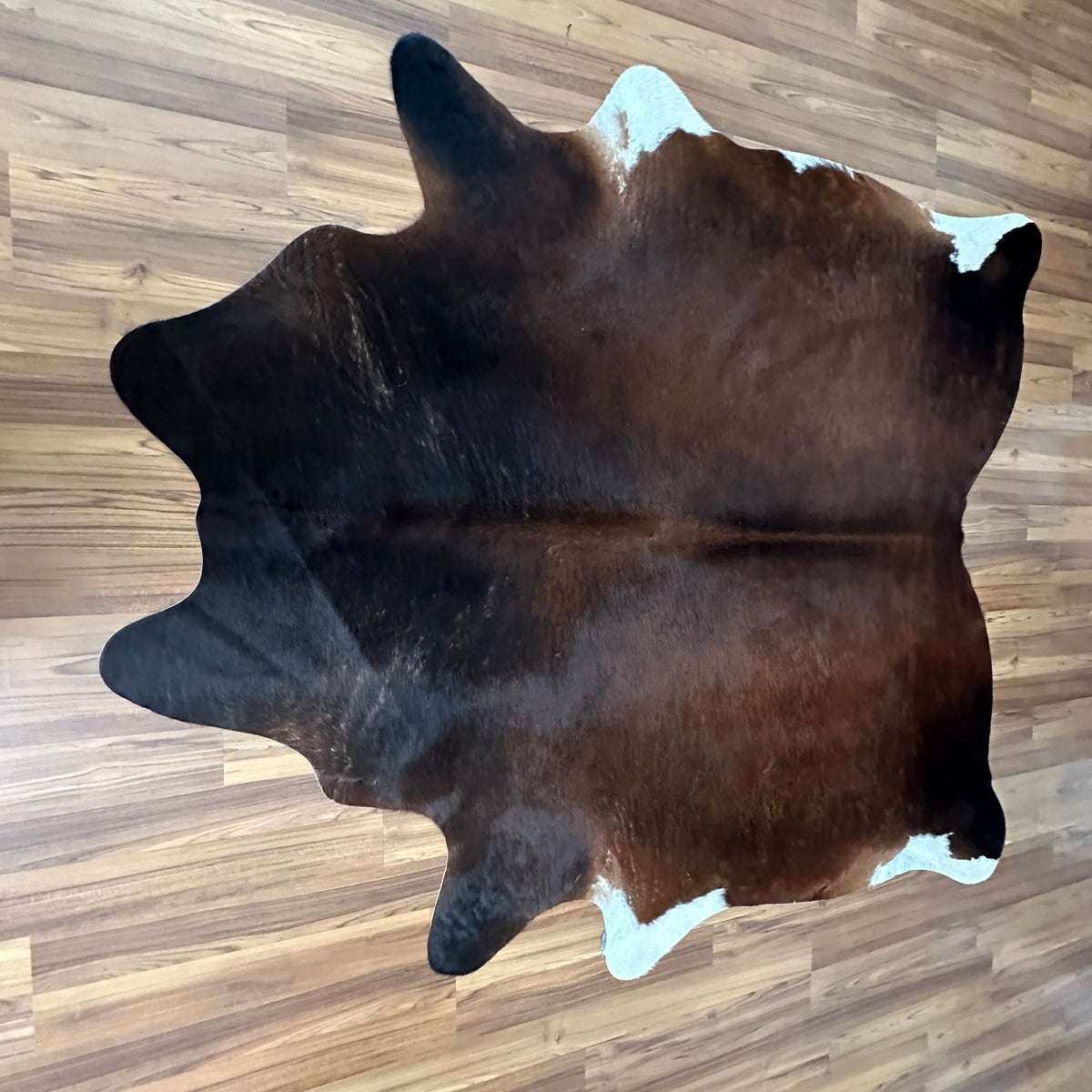 Tricolor tricolor cowhide rug, full overhead view — Large irregular dark brown and black patches with cream and white accents
