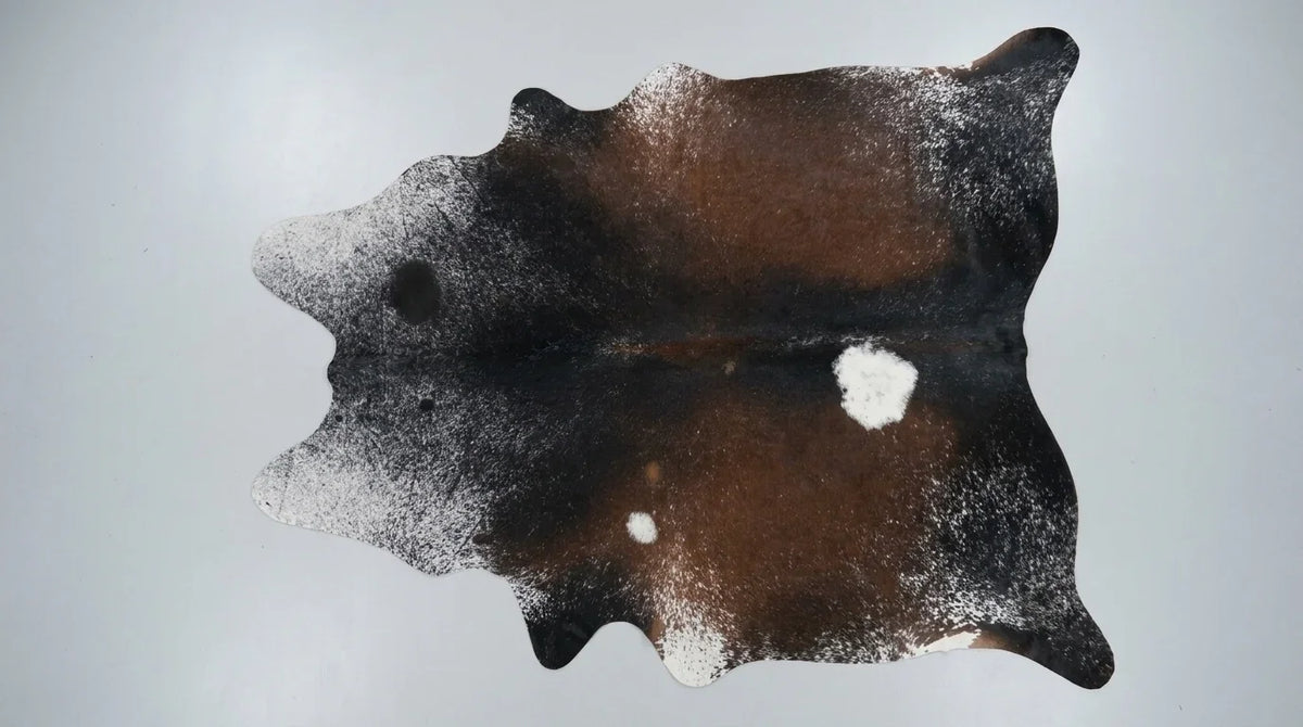 Tricolor cowhide rug flat lay on white background showing full hide shape