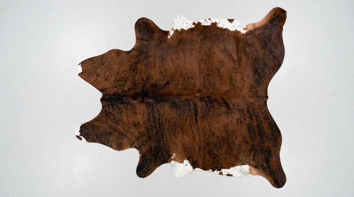 Tricolor cowhide rug flat lay on white background showing full hide shape