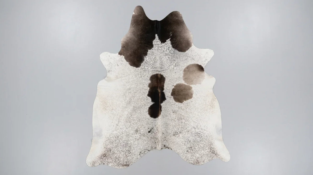 Tricolor cowhide rug flat lay on white background showing full hide shape