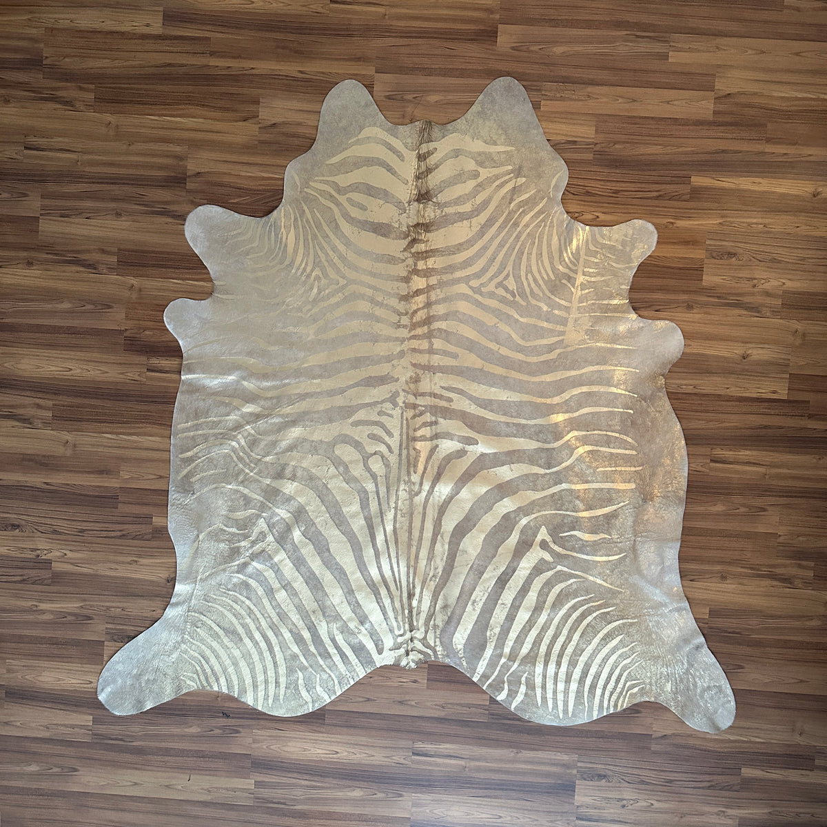 Beige and Grey zebra print cowhide rug, full overhead view — Bold zebra stripes radiating from spine in grey and cream tones