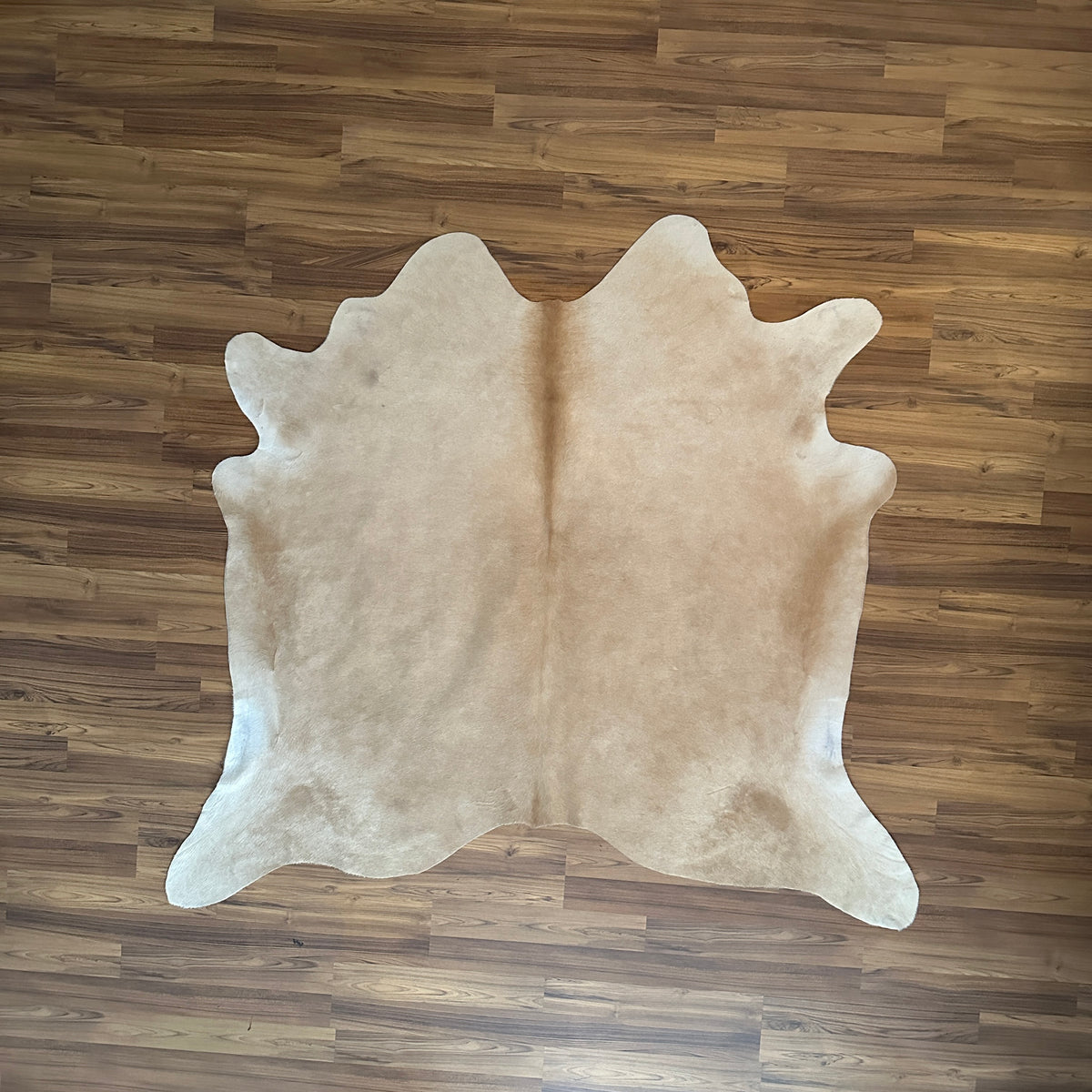 Beige cowhide rug, full overhead view — Uniform cream base with subtle natural veining and organic hide texture