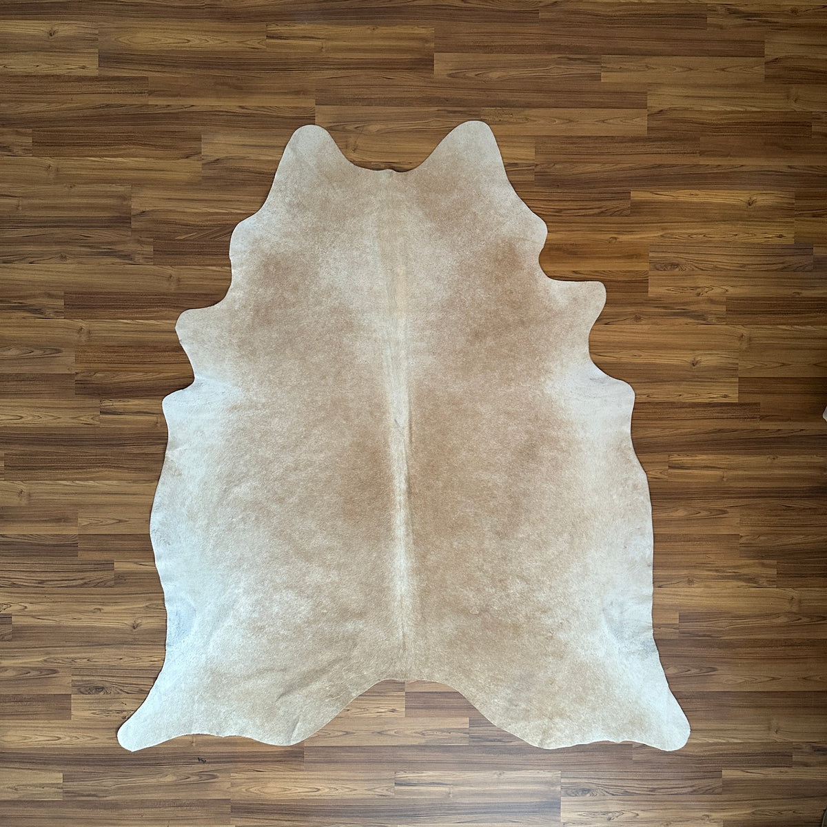 Beige cowhide rug, full overhead view — Subtle cream and light tan natural hide variation with organic irregular edges