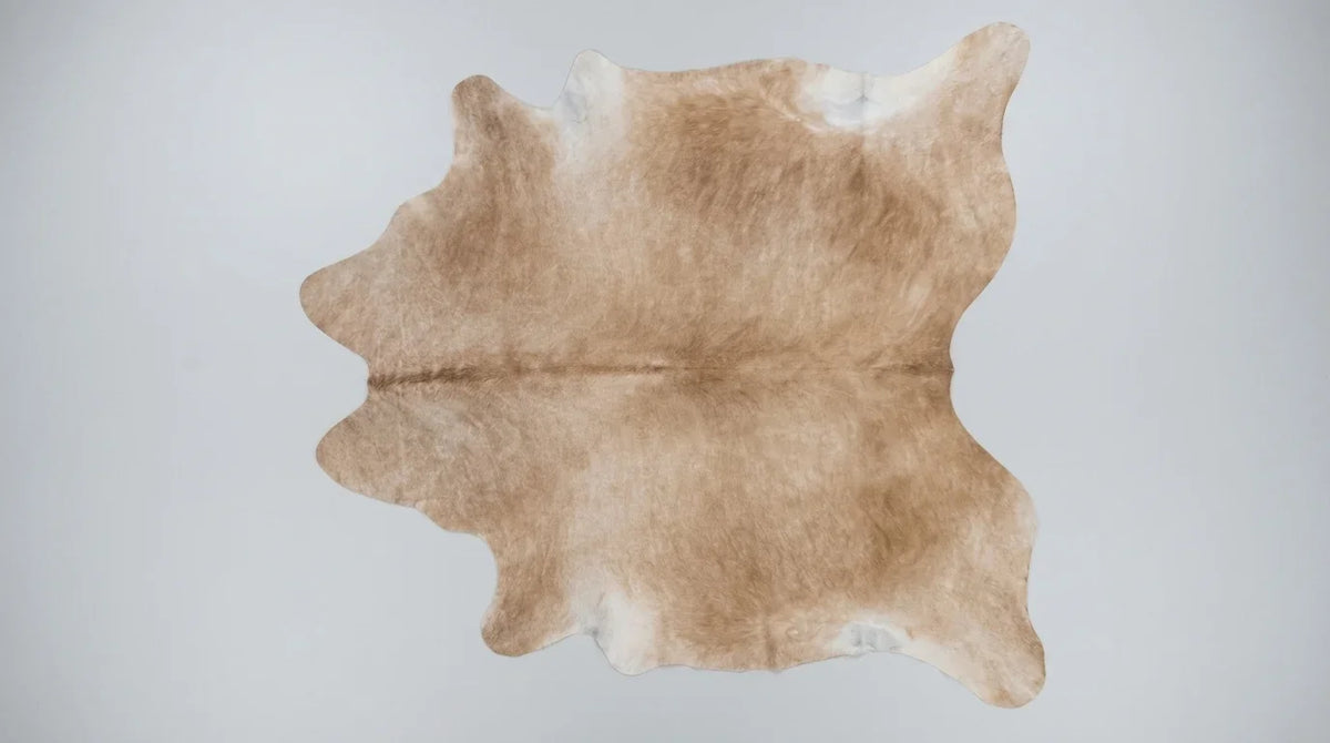 Beige cowhide rug flat lay on white background showing full hide shape