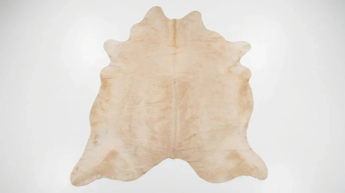 Beige cowhide rug flat lay on white background showing full hide shape