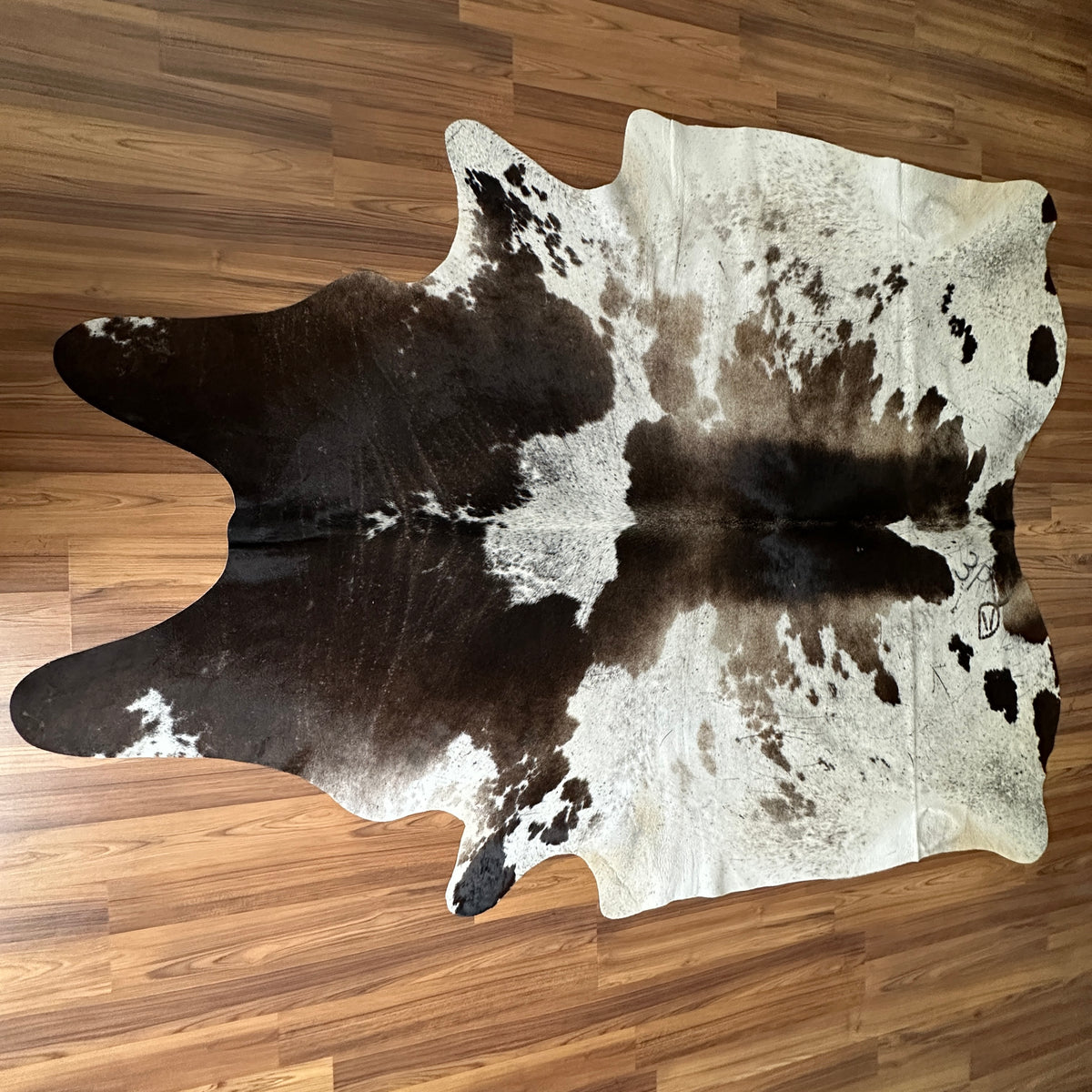 Black and White cowhide rug, full overhead view — Large irregular dark brown patches with white and cream base, natural organ